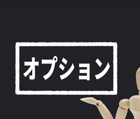 ソフトバンク光　オプション